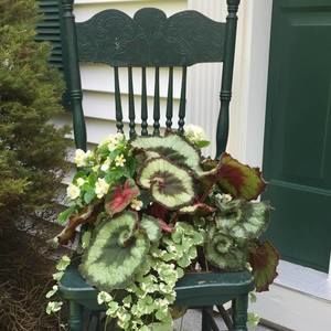 Meet your Posher, Claire